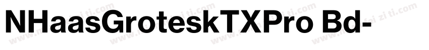 NHaasGroteskTXPro Bd字体转换